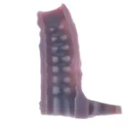 3.9/4.6/5.8/6.5 Inch Black Open Headed Soft Penis Sheath Sleeve - Image 8